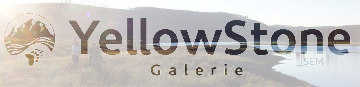 photo de yellowstone